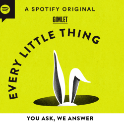 Every_Little_Thing
